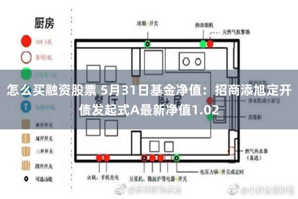 怎么买融资股票 5月31日基金净值：招商添旭定开债发起式A最新净值1.02