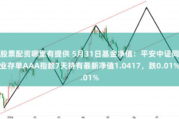 股票配资哪里有提供 5月31日基金净值：平安中证同业存单AAA指数7天持有最新净值1.0417，跌0.01%