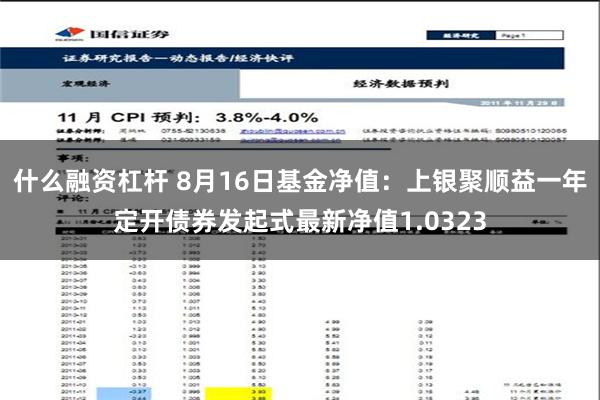 什么融资杠杆 8月16日基金净值：上银聚顺益一年定开债券发起式最新净值1.0323