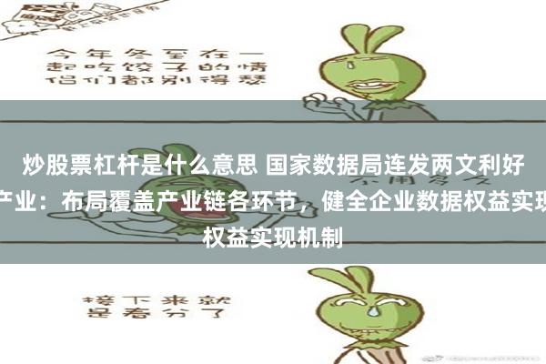 炒股票杠杆是什么意思 国家数据局连发两文利好数据产业：布局覆盖产业链各环节，健全企业数据权益实现机制