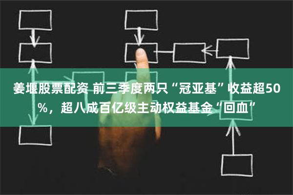 姜堰股票配资 前三季度两只“冠亚基”收益超50%，超八成百亿级主动权益基金“回血”