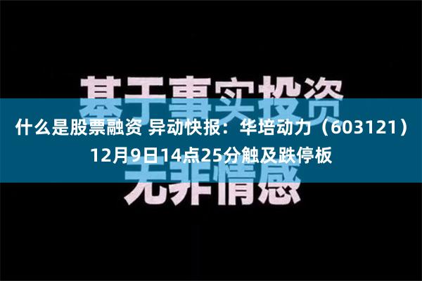 什么是股票融资 异动快报：华培动力（603121）12月9日14点25分触及跌停板