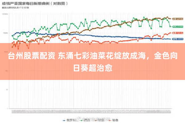 台州股票配资 东涌七彩油菜花绽放成海，金色向日葵超治愈