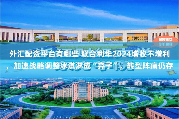 外汇配资平台有哪些 联合利华2024增收不增利，加速战略调整冰淇淋成“弃子”，转型阵痛仍存