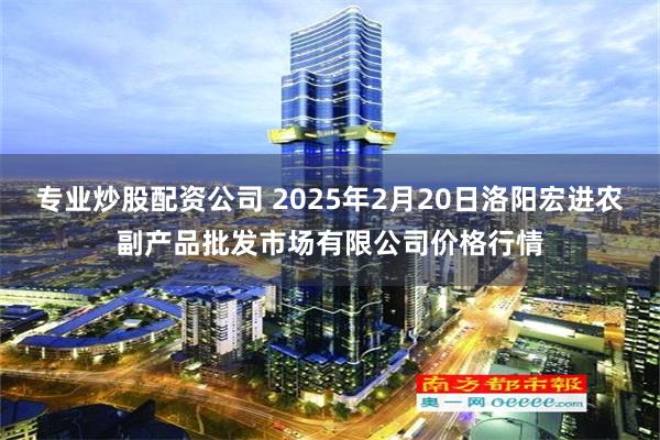 专业炒股配资公司 2025年2月20日洛阳宏进农副产品批发市场有限公司价格行情